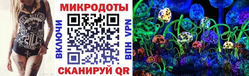 как найти Звенигово Псилоцибиновые грибы мухоморы